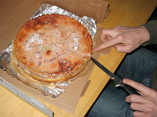 Apfel-Preiselbeer-Kuchen
