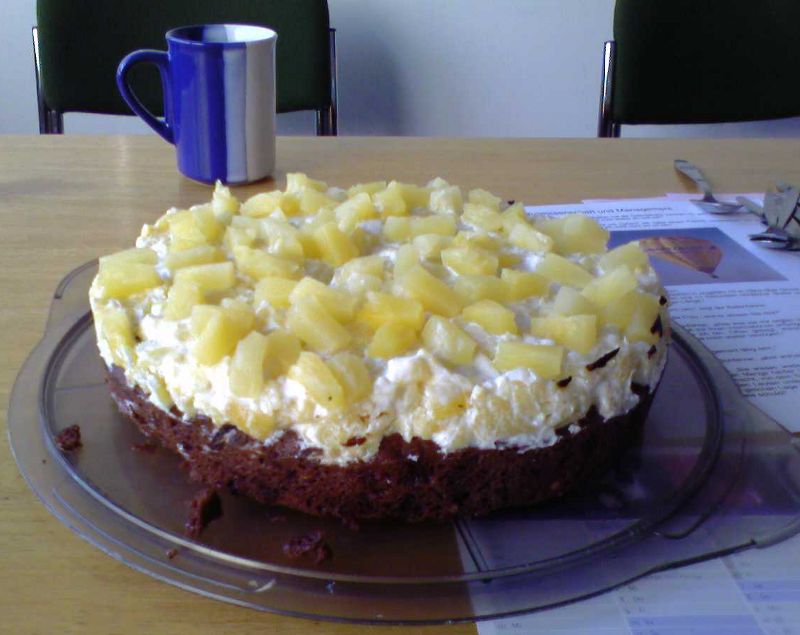 Schoko-Ananas-Kuchen (Stefan)