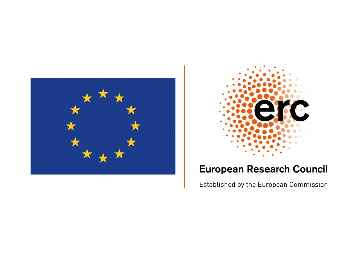 ERC Grant: Ssyzygies, moduli and topological invariants of groups